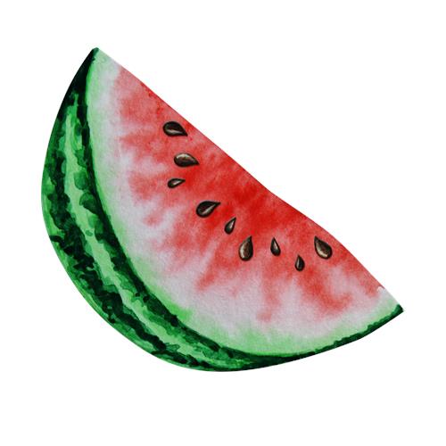 Saftig vandmelon skive