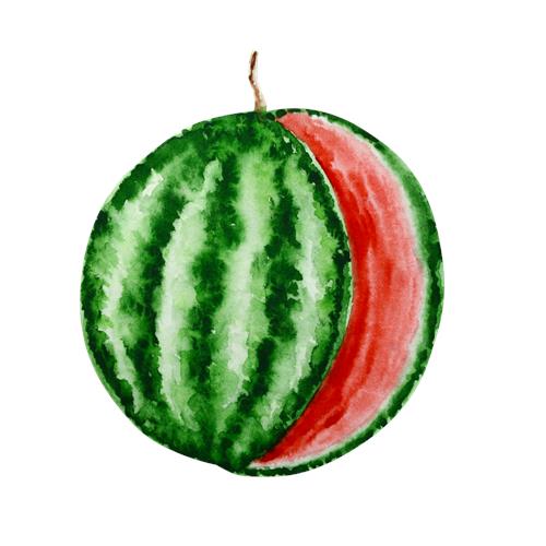 Saftig Vandmelon i Farver